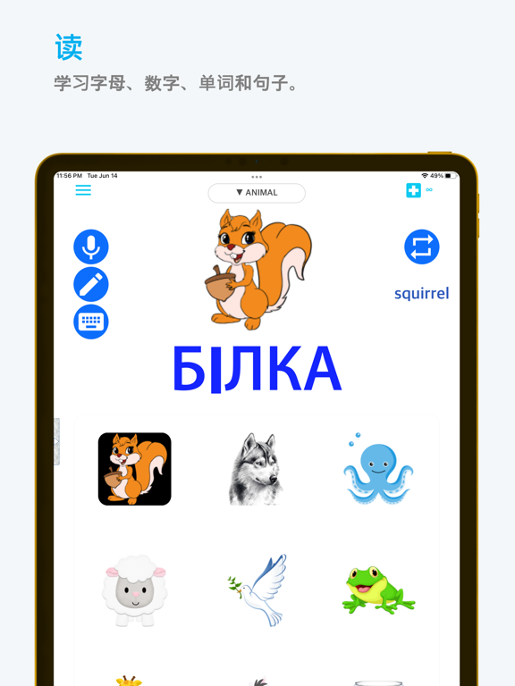 Emme乌克兰语
