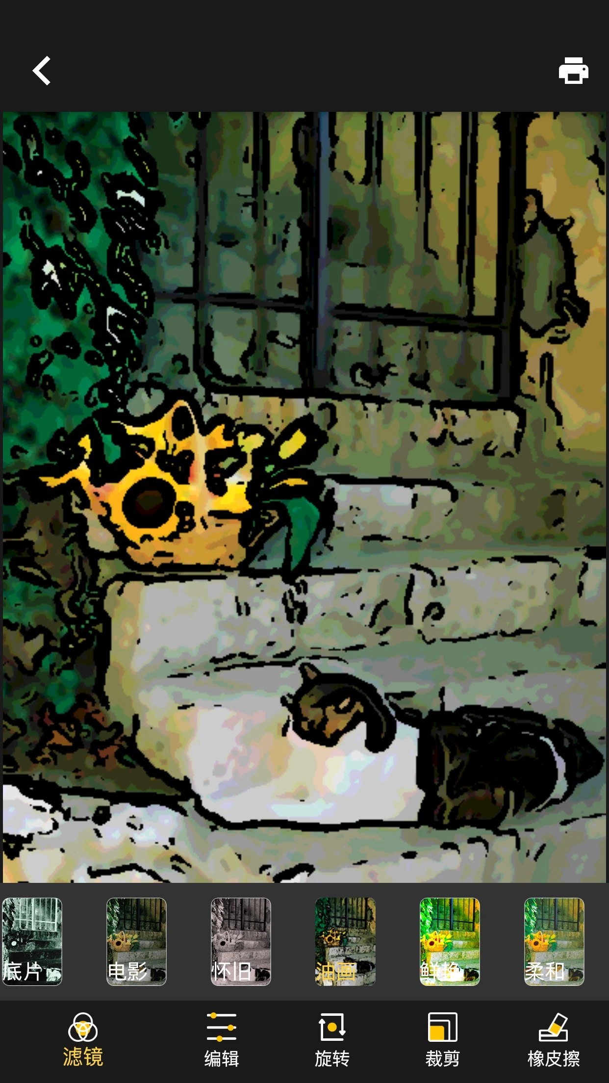 鸿蒙版【DiDi Cam】官方下载_DiDi Cam鸿蒙手机APP免费下载