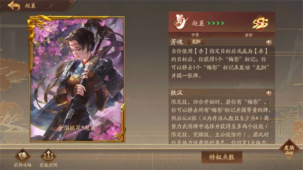 三国杀十周年官方正版