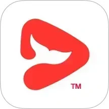 鸿蒙版【锦书在线】官方下载_锦书在线鸿蒙手机APP免费下载