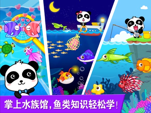 宝宝钓鱼_科普鱼类小知识