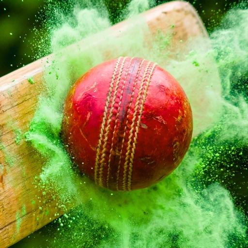 板球联赛乐高拉